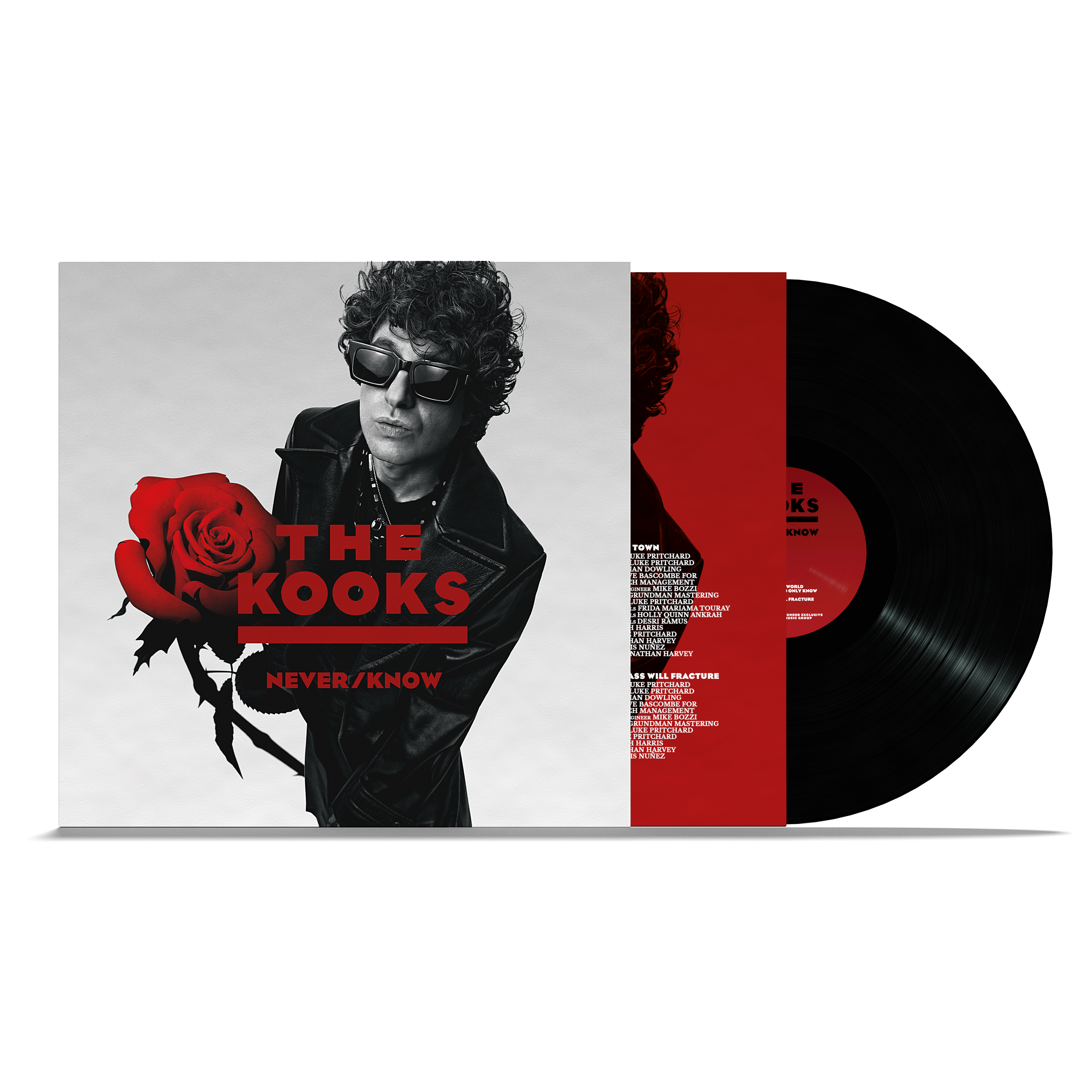 Never/Know: Black Vinyl LP - The Kooks Store UK